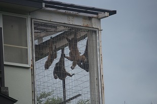 s-IMG_0848.jpg
