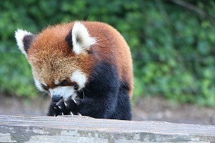 s-IMG_0904.jpg