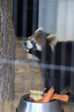s-IMG_1015.jpg