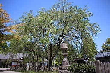 s-IMG_4019.jpg