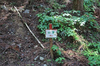 s-IMG_4150.jpg