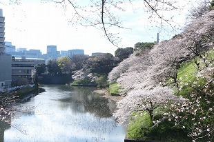 s-IMG_5393.jpg