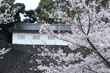 s-IMG_5458.jpg