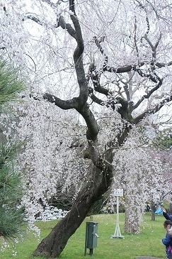 s-IMG_5460.jpg
