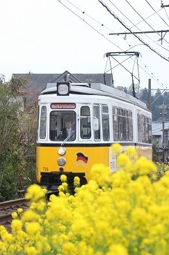 s-IMG_6783.jpg