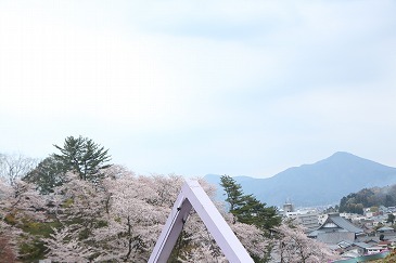 s-IMG_6787.jpg