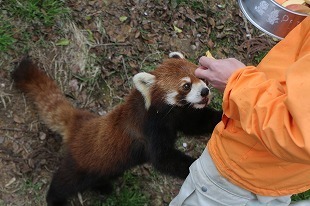 s-IMG_6898.jpg