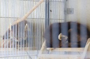 s-IMG_6946.jpg