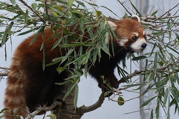 s-IMG_6960.jpg