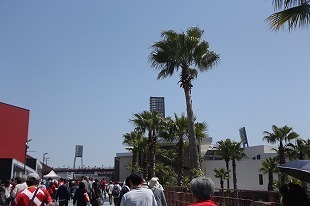 s-IMG_7444.jpg