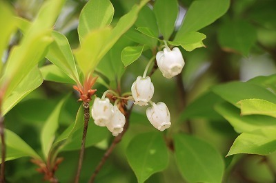 s-IMG_7877.jpg