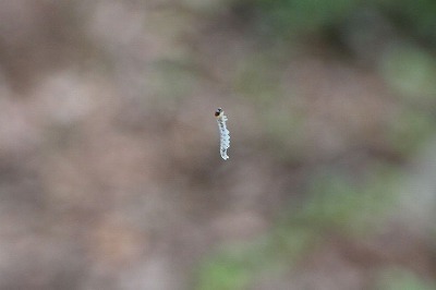 s-IMG_7890.jpg