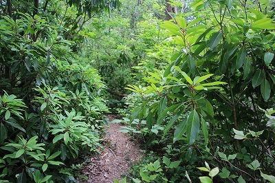s-IMG_7907.jpg