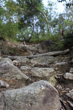 s-IMG_8181.jpg