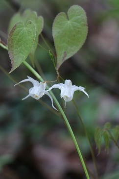 s-IMG_8202.jpg