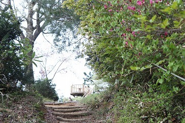 s-IMG_8204.jpg