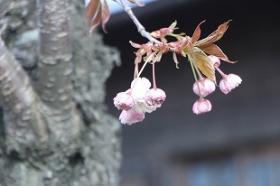s-IMG_8212.jpg