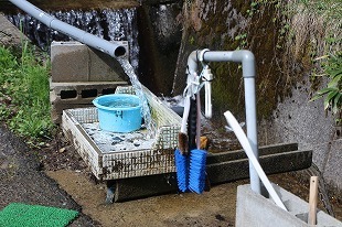 s-IMG_8229.jpg