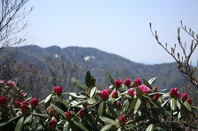 s-IMG_8715.jpg