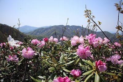 s-IMG_8718.jpg