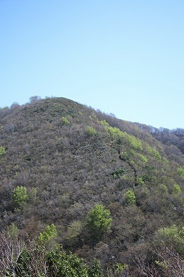 s-IMG_8719.jpg