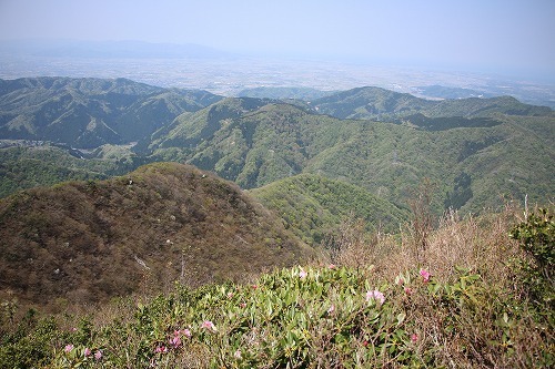 s-IMG_8725.jpg