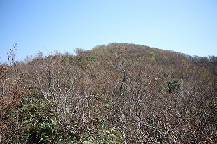 s-IMG_8726.jpg