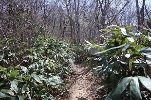 s-IMG_8727.jpg