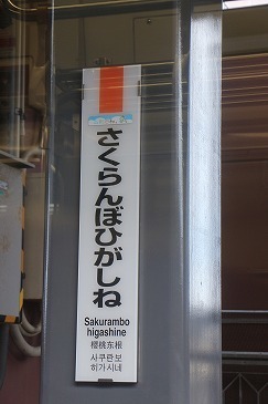 s-IMG_8873.jpg