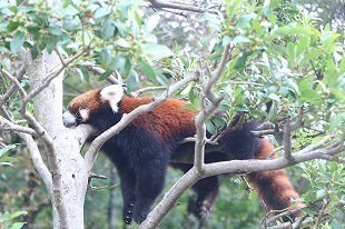s-IMG_9307.jpg