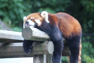 s-IMG_9316.jpg