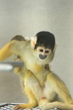 s-IMG_9405.jpg