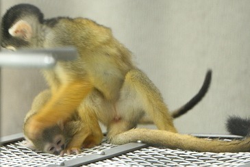 s-IMG_9406.jpg
