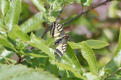 s-IMG_9492.jpg