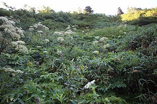 s-IMG_9620.jpg