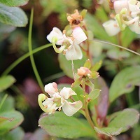 s-IMG_9726.jpg
