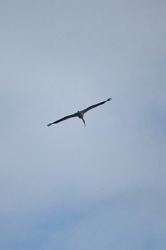 s-IMG_9747.jpg