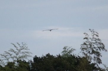 s-IMG_9750.jpg