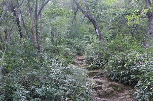 s-IMG_9805.jpg