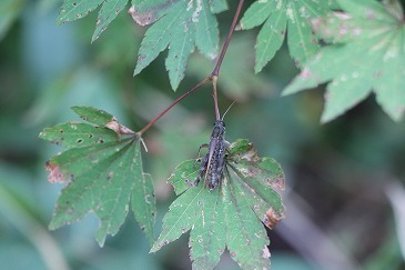 s-IMG_9820.jpg