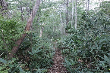 s-IMG_9821.jpg
