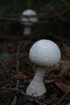 s-IMG_9823.jpg