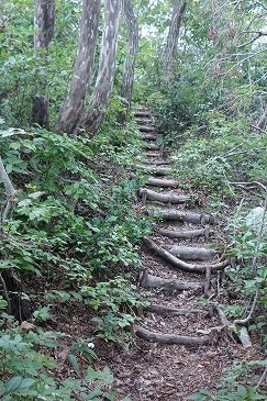 s-IMG_9824.jpg