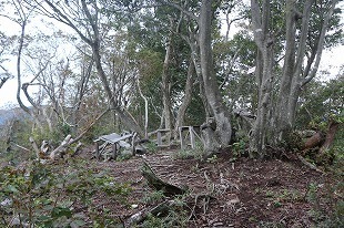 s-IMG_9825.jpg
