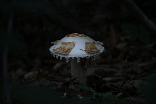 s-IMG_9834.jpg