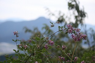 s-IMG_9841.jpg