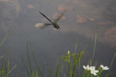 s-IMG_9858.jpg