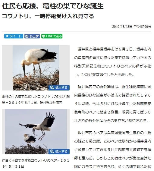 shinbun2.jpg