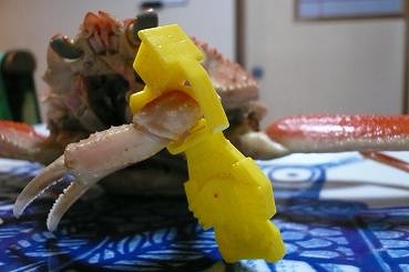 カニ2.jpg