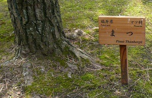 丸の内2.jpg